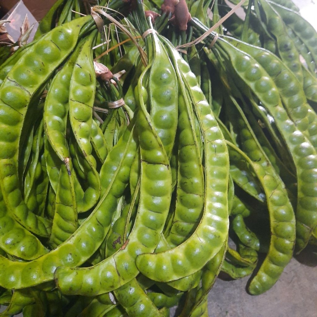 

PETE 1 ikat = 10 PAPAN