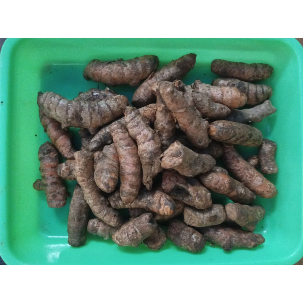 

Kunyit Medan Super 30 Gram