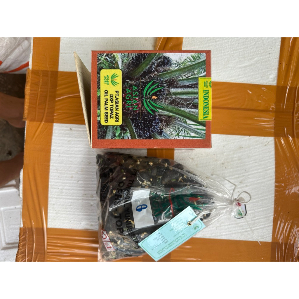 Benih kecambah TOPAZ isi 250