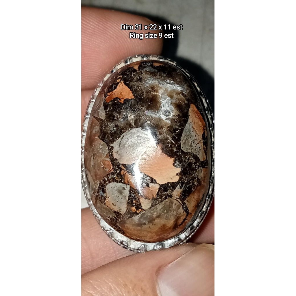 NATURAL SISIK NAGA ENREKANG