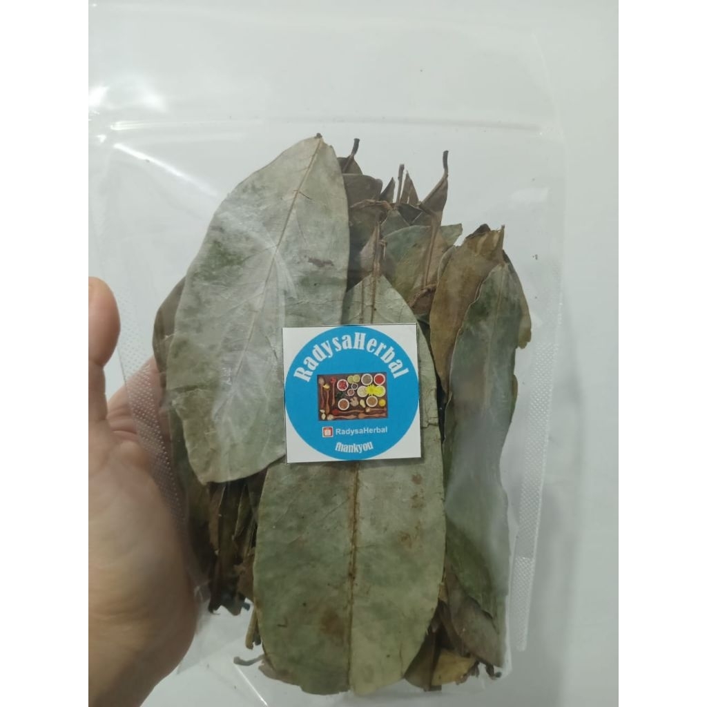 

DAUN SIRSAK KERING ORGANIK BERKHASIAT