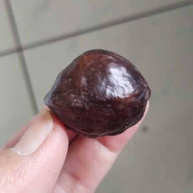 Kemiri Adu Muncang Adu Anak Jalim Gurame Pasangan Mewah Full Tua