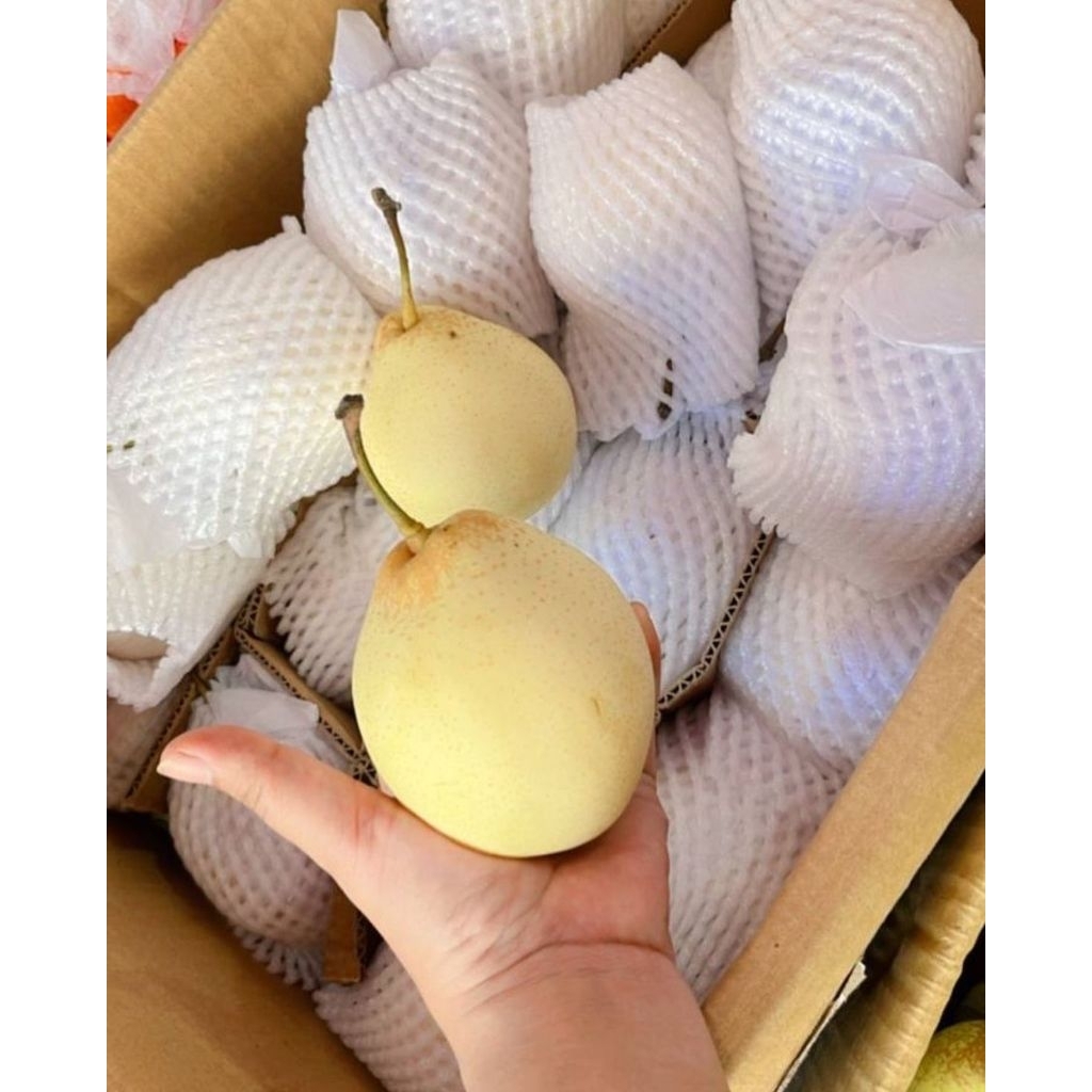 

Buah pir madu yalie-+/kg