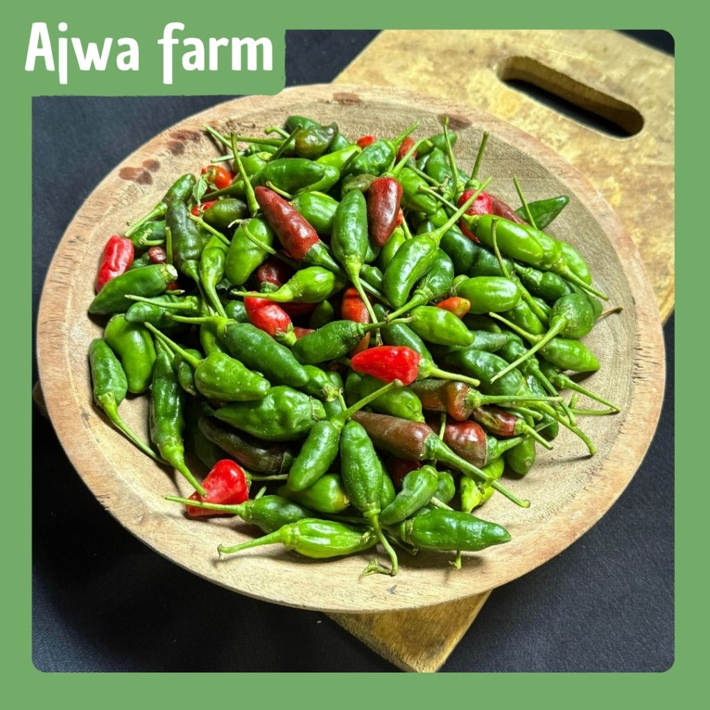 

(AJWA FARM) Cabe Rawit Fresh