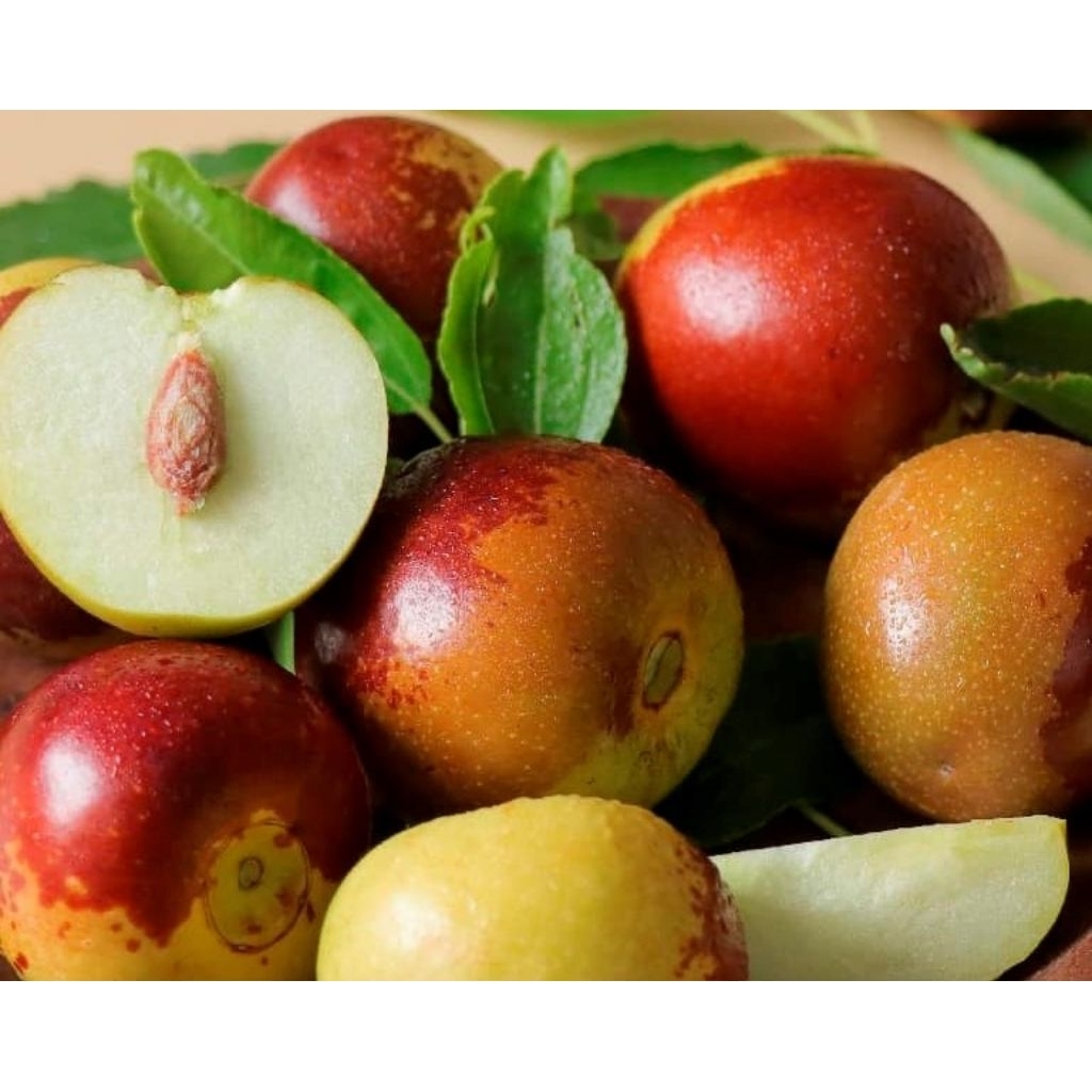 

HERBAL BUAH BIDARA ARAB 1 kg