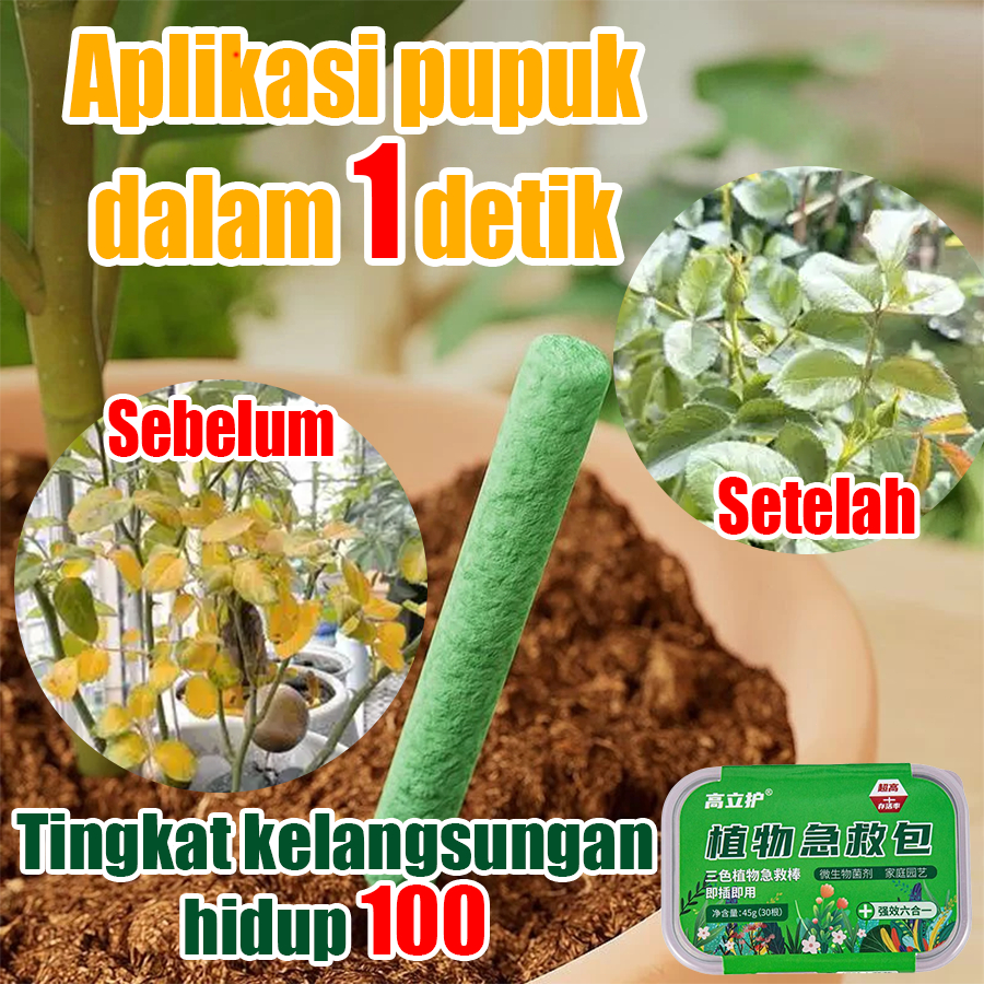 30pcs Pupuk bonsai terbaik daun zpt nutrisi tanaman hias air semua jenis organic plant booster padi 