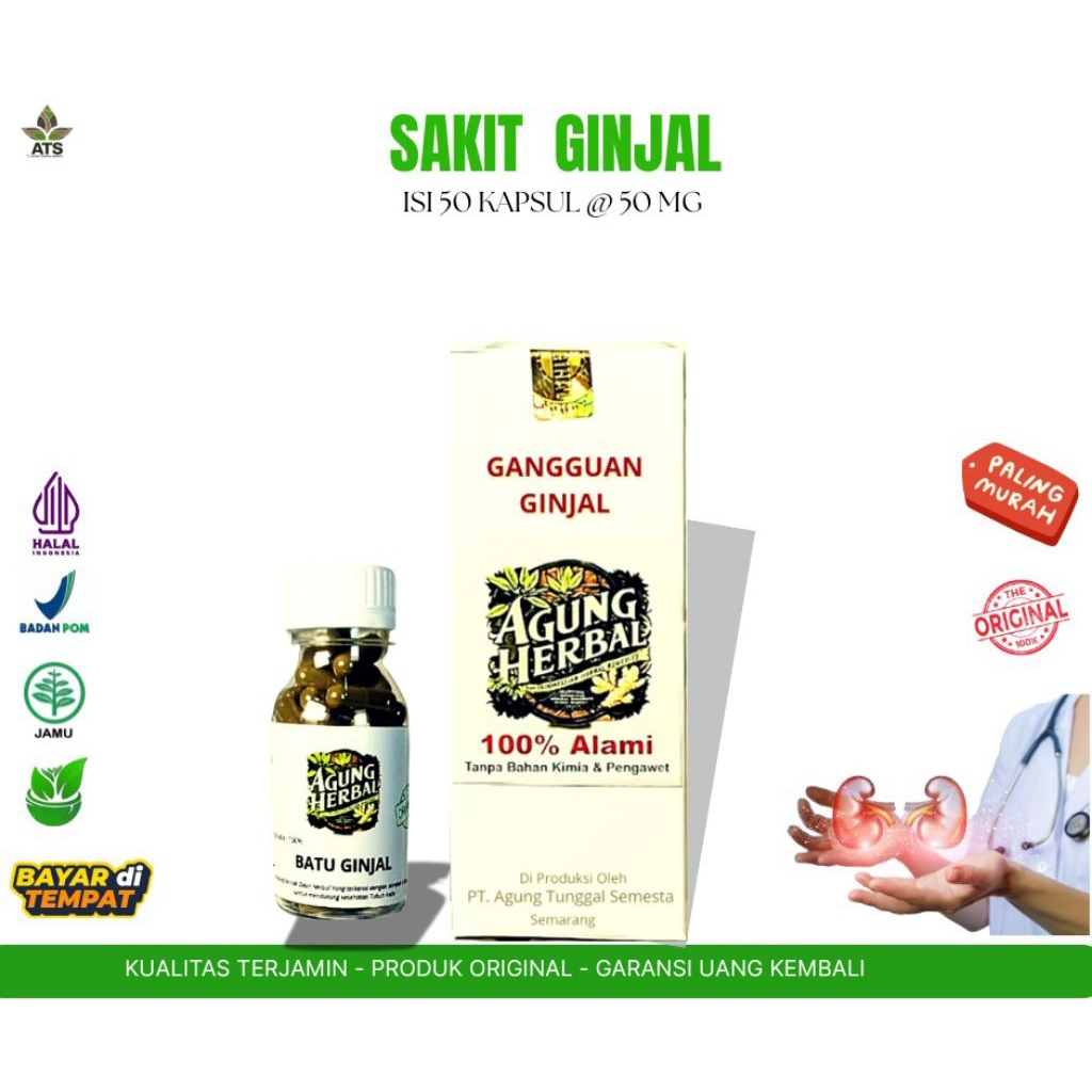 Obat ginjal herbal alami