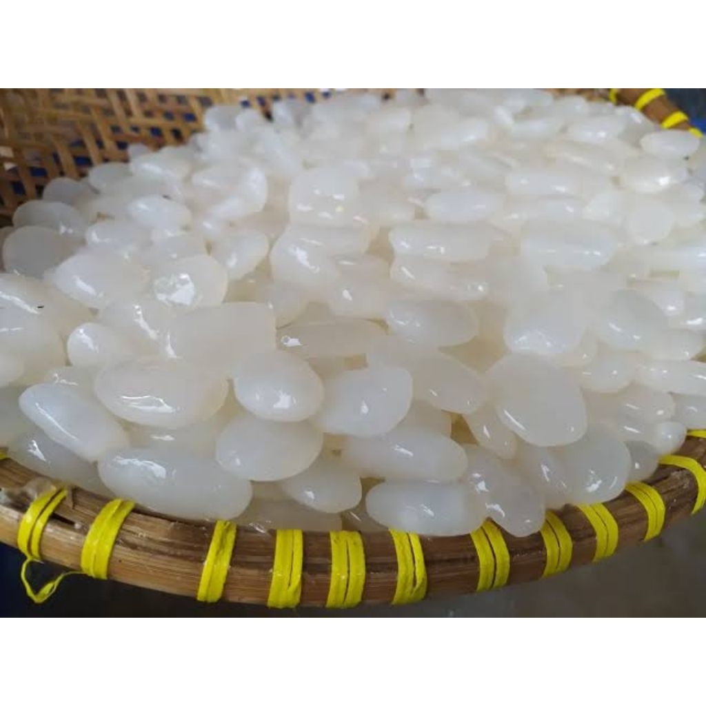 

Kolang kaling segar bahan manisan 1kg