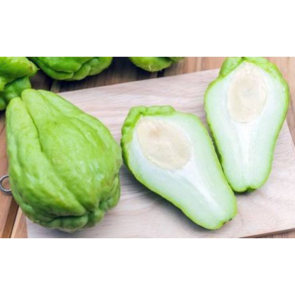 

Labu Siam Sayur Labu Siam Besar 1 Pcs