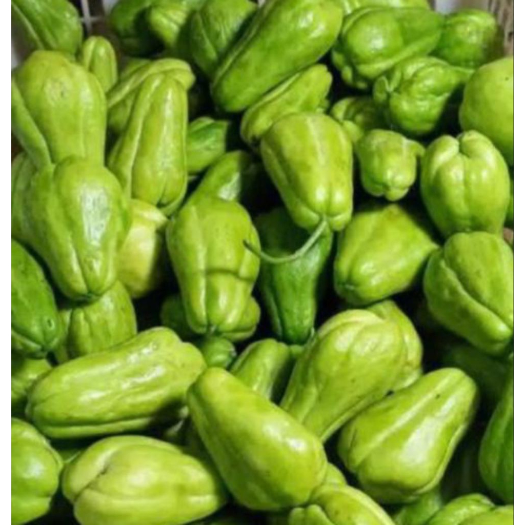 

Labu Siam Kecil Sayur Labu Siam Baby Labu Siam 500 g