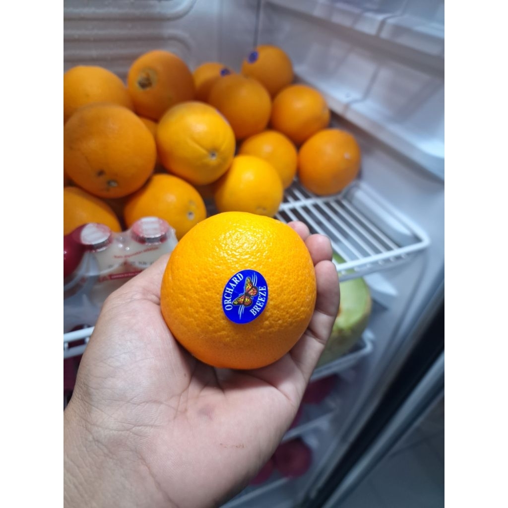 

JERUK SUNKIST BERVITAMIN 1KG