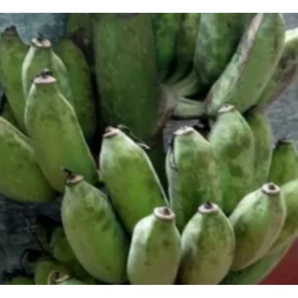 

pisang Siam mentah/ tua