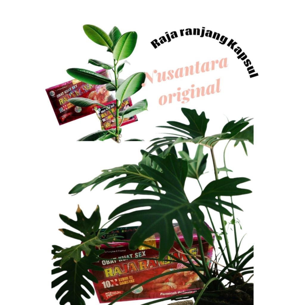 

minuman instan energi cap rajah keranjang