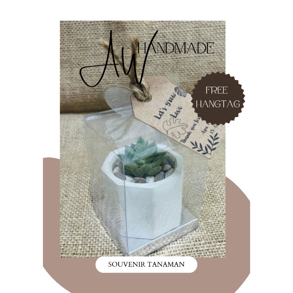 Cenderamata Souvenir tanaman sekulen kaktus mini