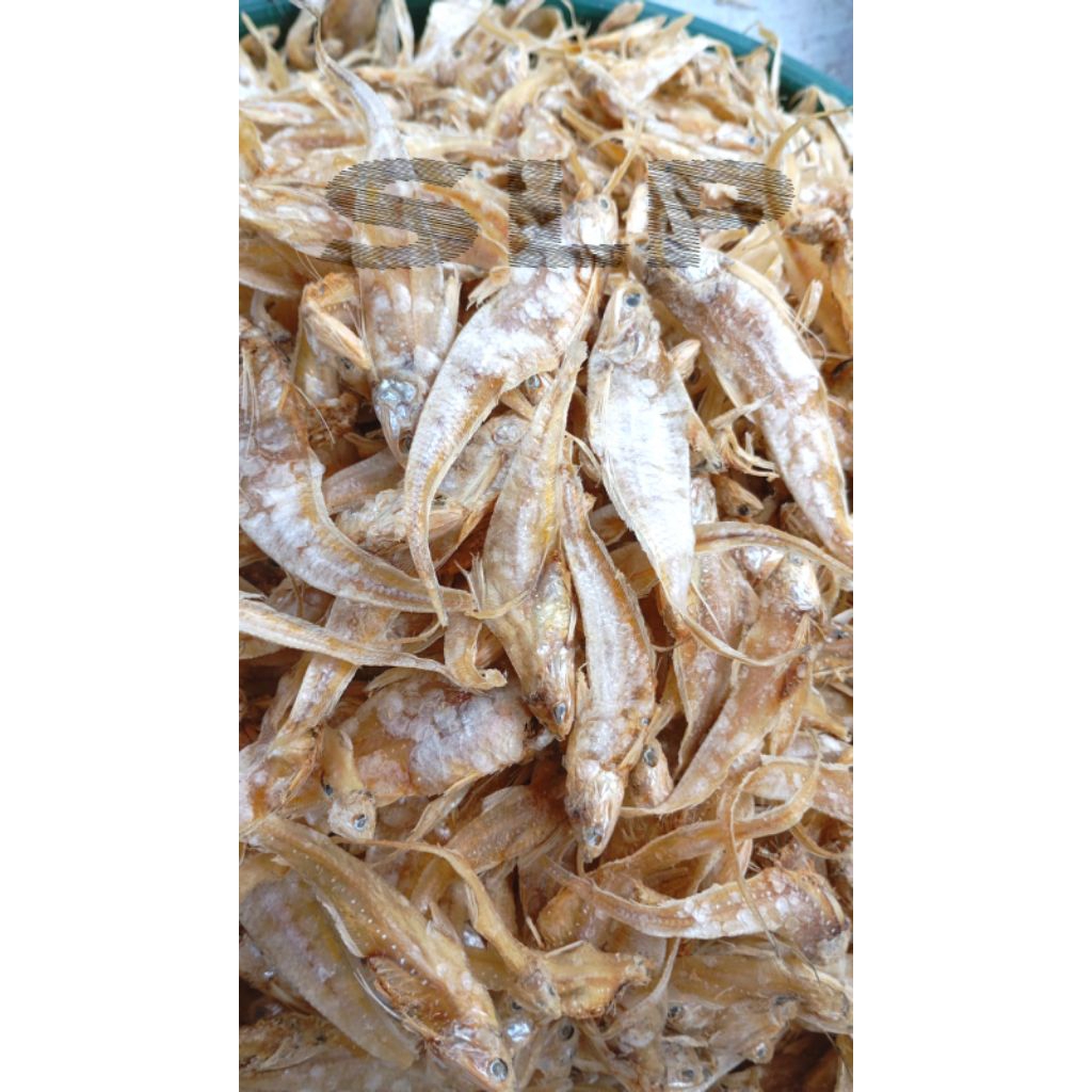 

Ikan Asin Biang 100Gram