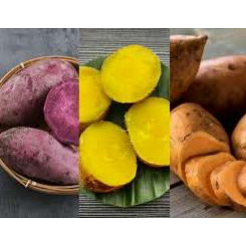 

di order ubi jalar termurah termanis 500 geram/ satengah kelo