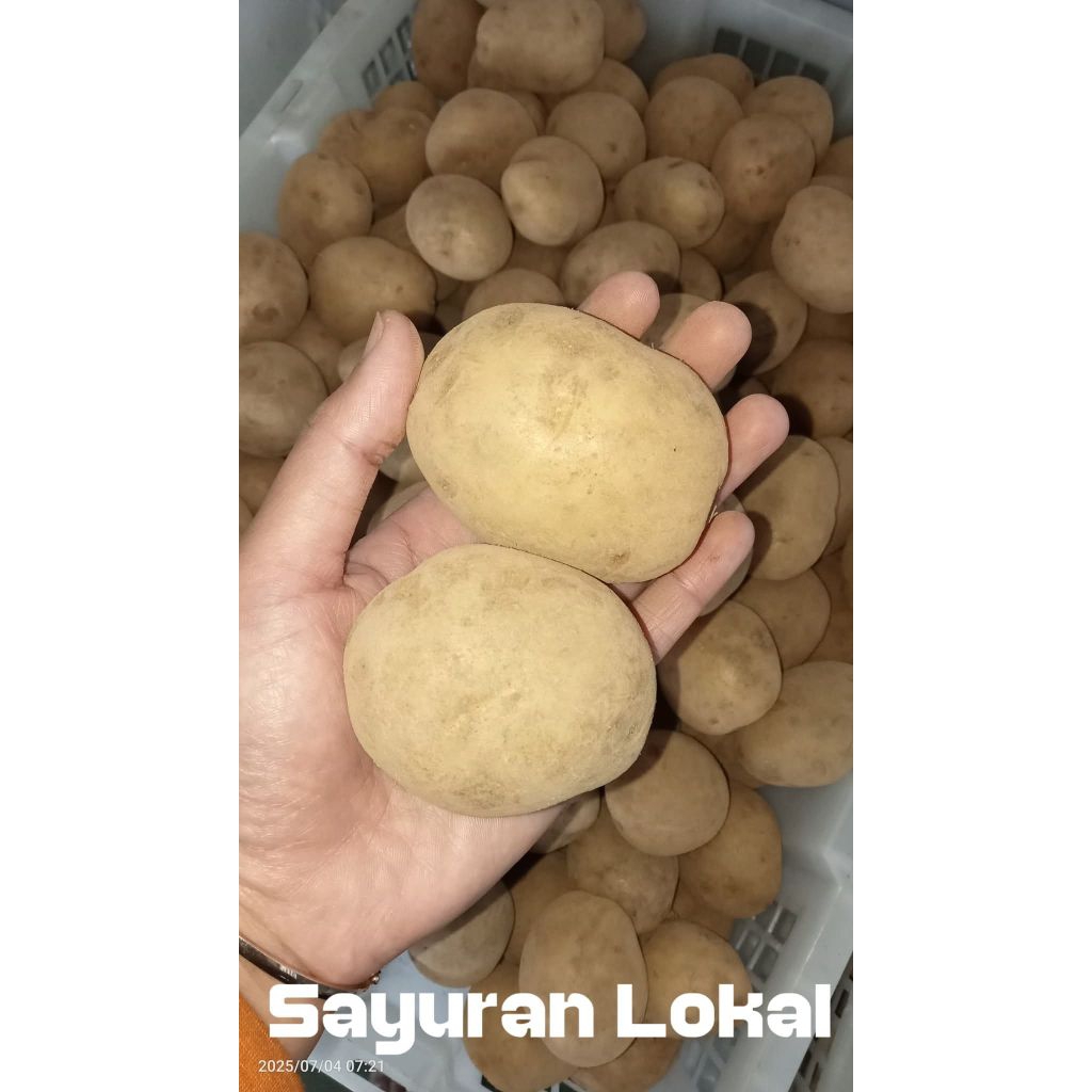 

Kentang Granola Fresh 500gr