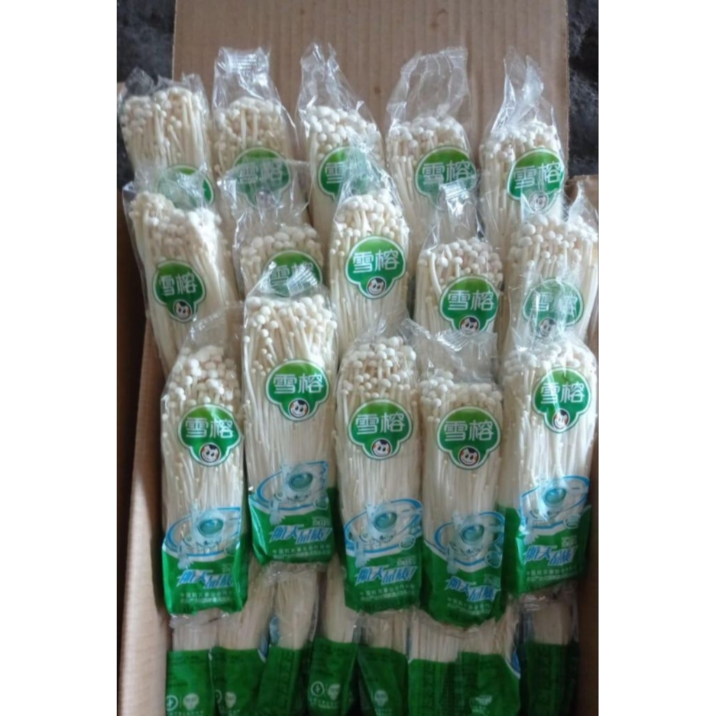 

jamur enoki 1 dus isi 50 pcs sesuai pic