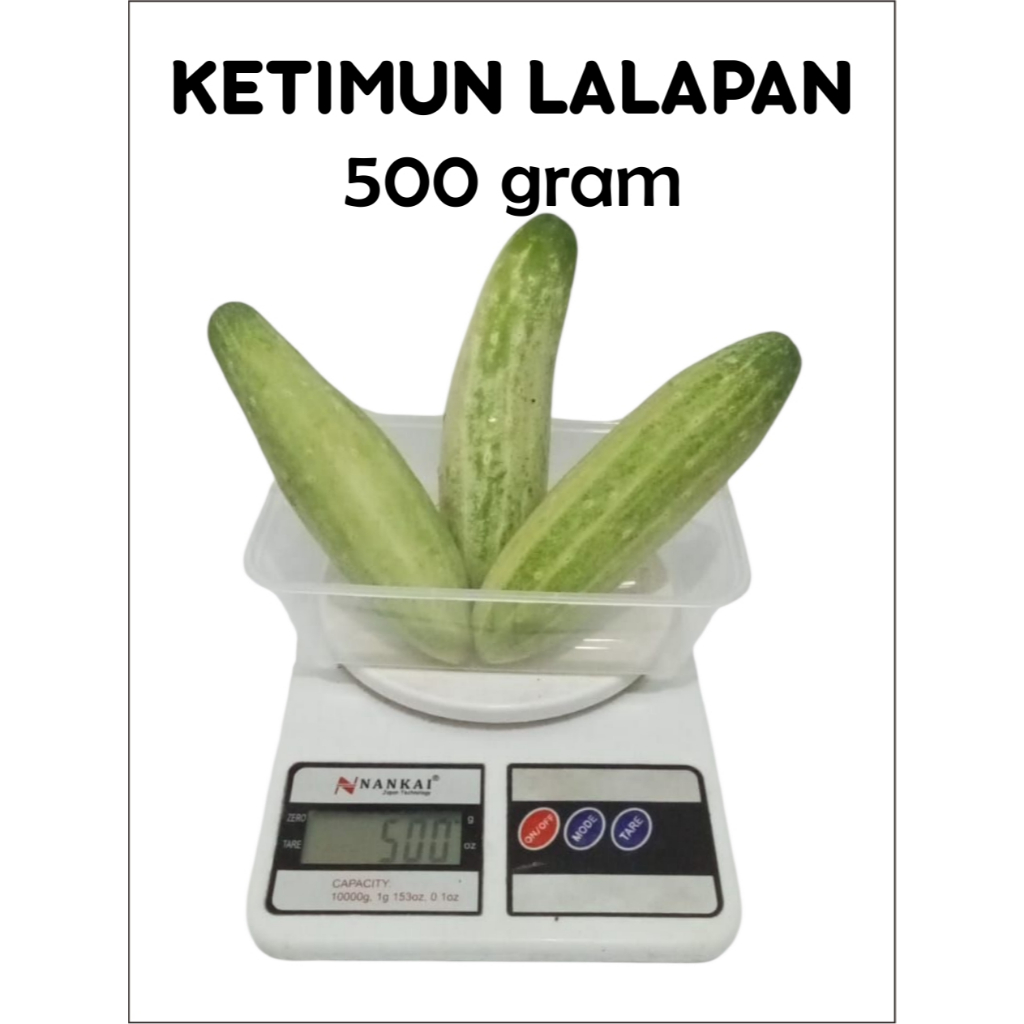 

Ketimun Lalapan Segar 500 Gram – Sayur Fresh dari Petani Lokal