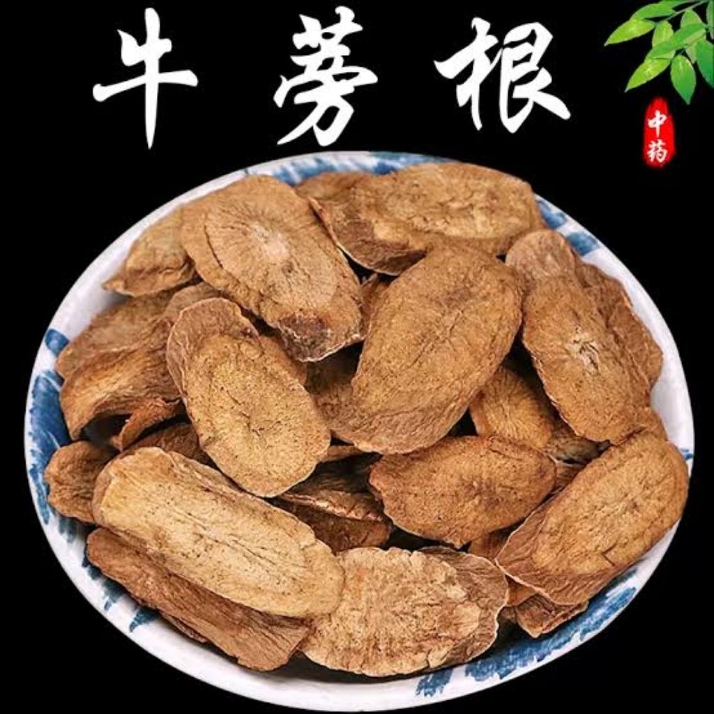 

100gr Niu Bang Gen 牛蒡根 Burdock Root / Burdock Greater Burdock / Arctium Lappa / Gobo Great Burdock Achene Root Of Great Burdock