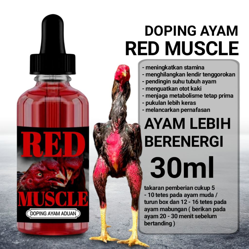Vitamin ayam petarung red muscle