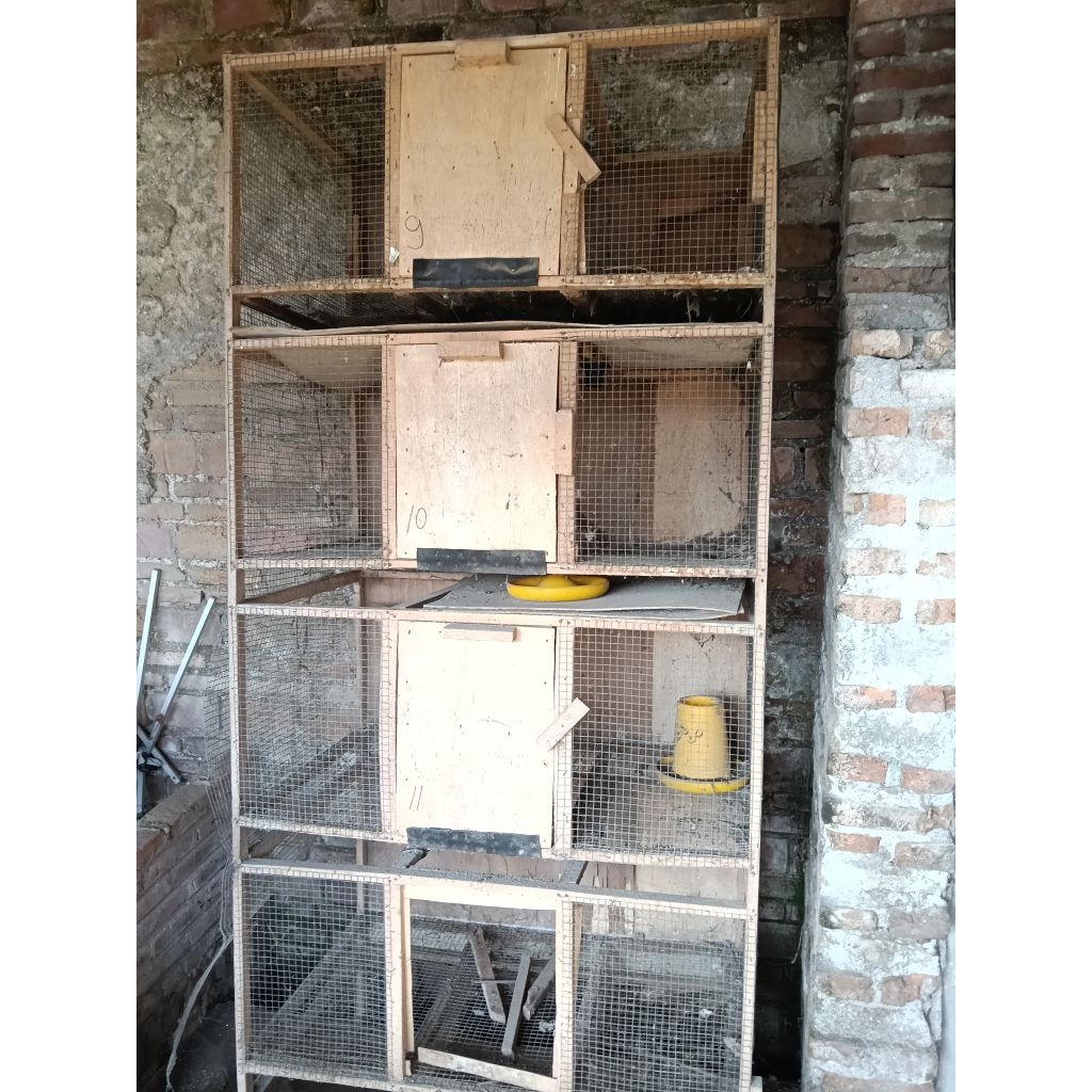 kandang puyuh bekas Kediri