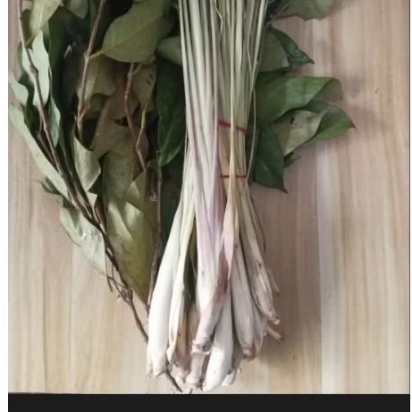 

Salam Sereh Hijau Segar