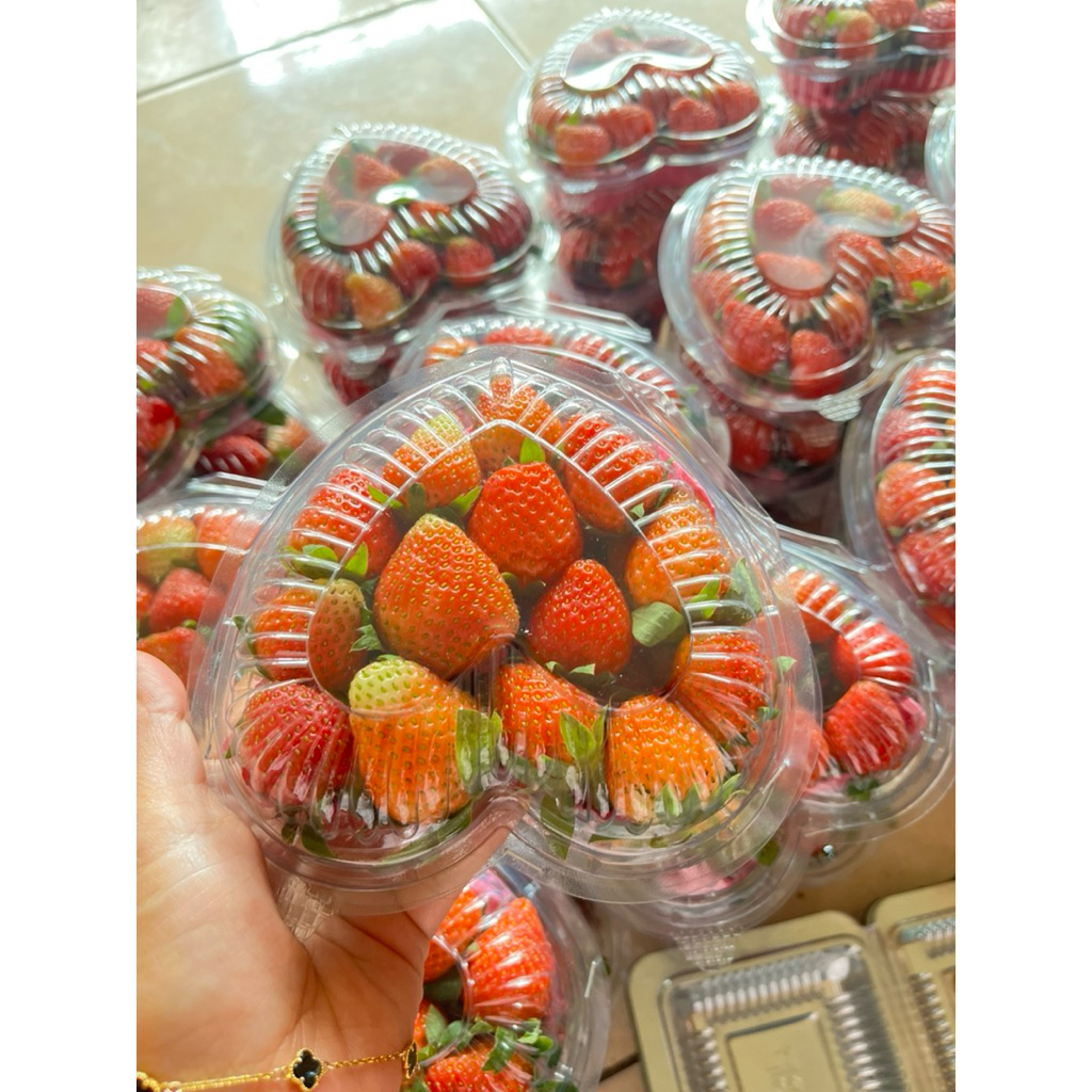 

strawberry fresh harga per 1kg(khusus yang co 4kg keatas kami tidak menerima cod)