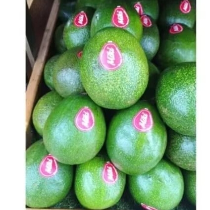 

Alpukat Miki 1kg fresh segar