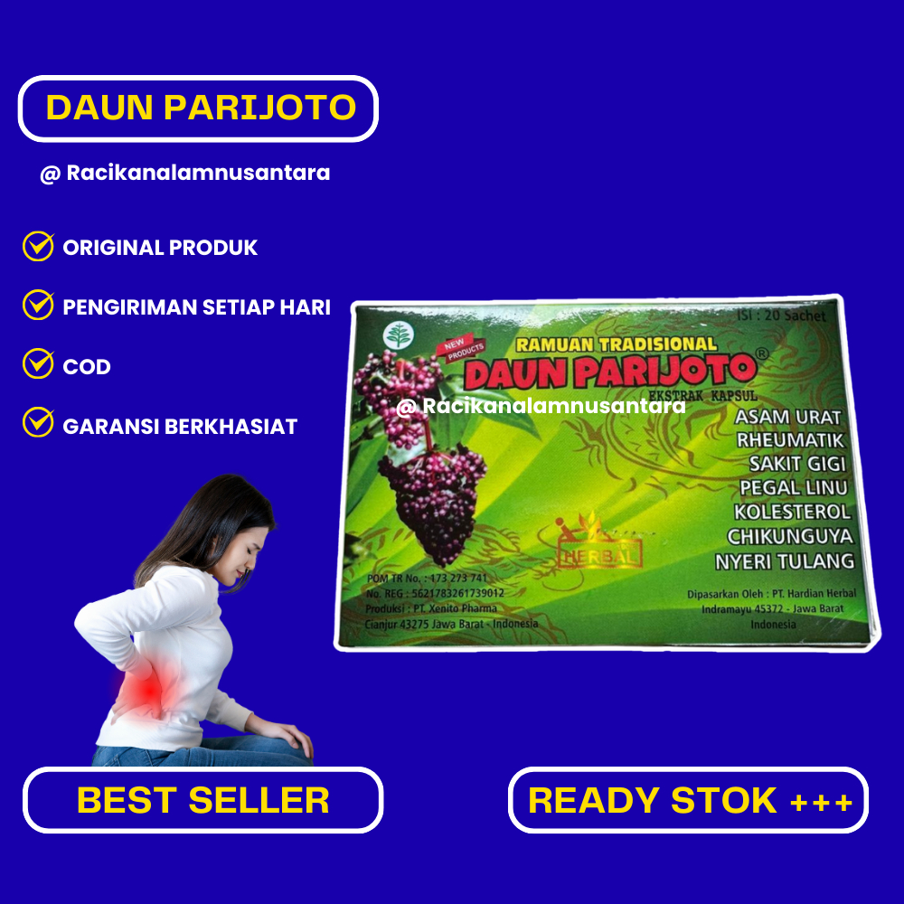 

Daun Parijoto Kapsul Asam Urat Pegal Linu Original