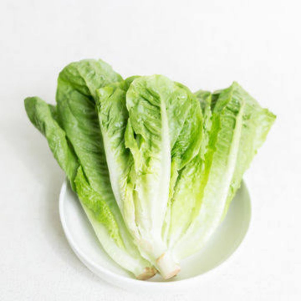 

selada romaine 1000gr