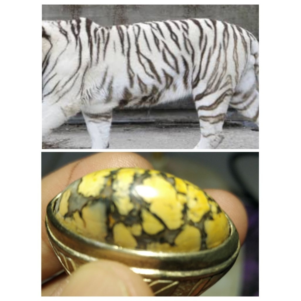 Batu Akik Motif Bulu Harimau Natural Unik kode 50/1007