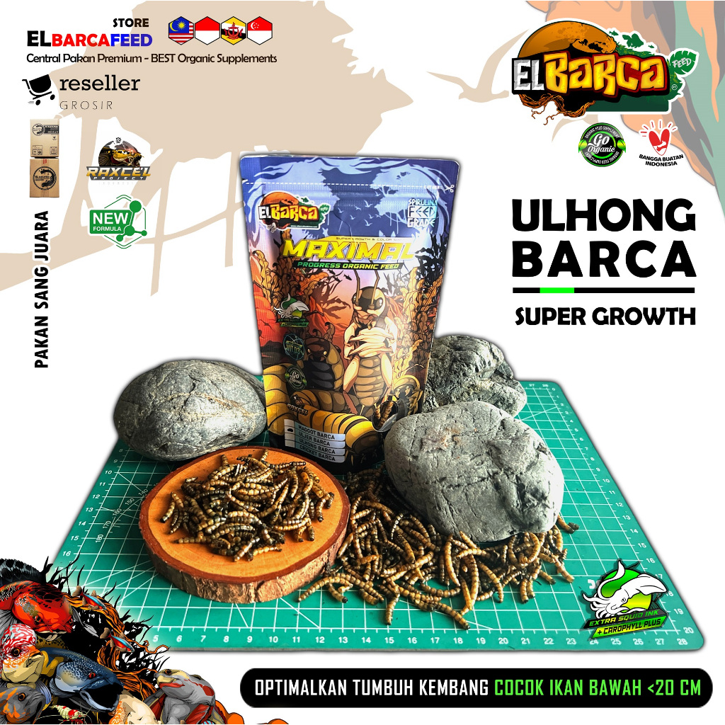 ULHONG BARCA Ulat Hongkong Kering Xtra Spirulina feed grade pakan pelet ikan channa predator reptile