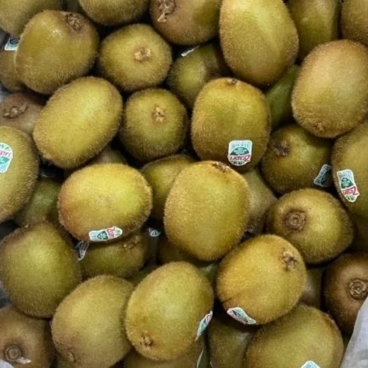 

KIWI HIJAU 500 GRAM
