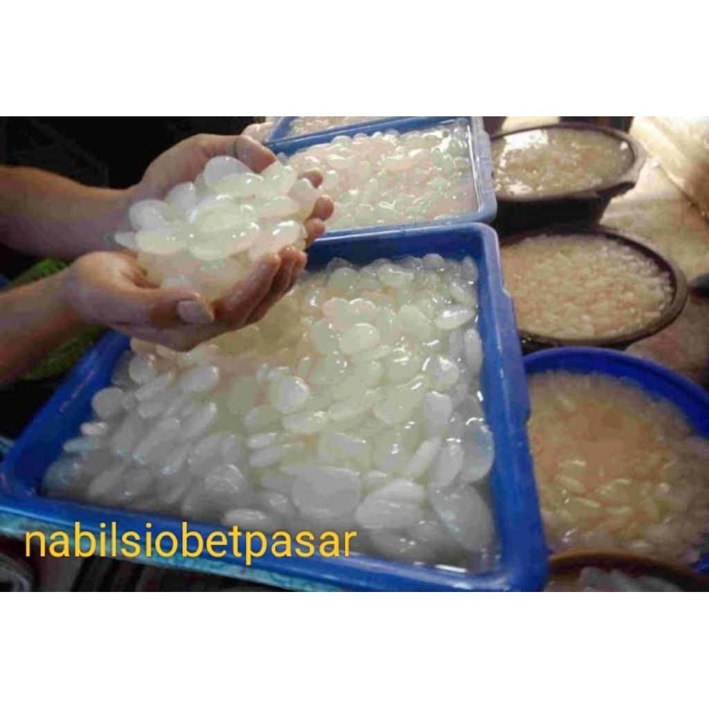 

COD 500Gr PROMO kolang Kaling Fresh