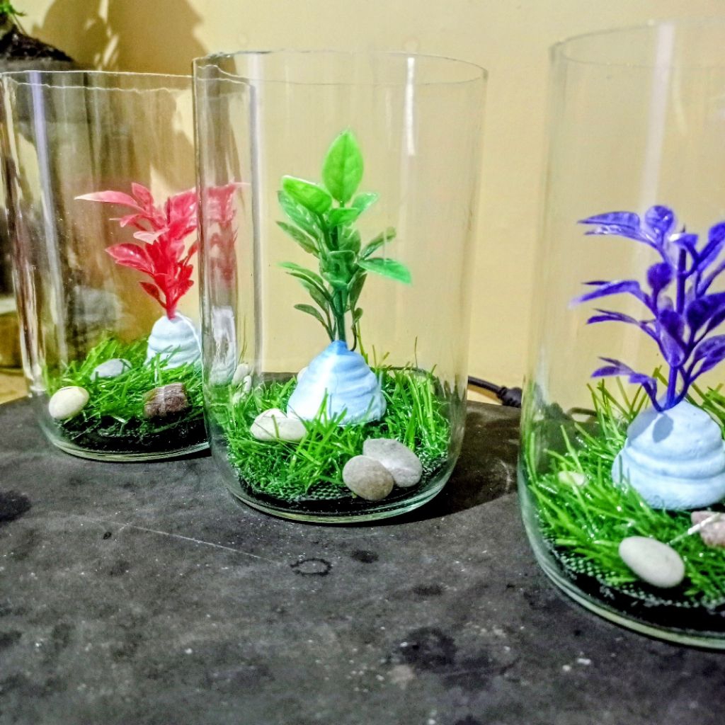 Botol Cupang 400 ml paket 3 pcs Botol kaca cupang wadah cupang Aquarium cupang satu set soliter cupa