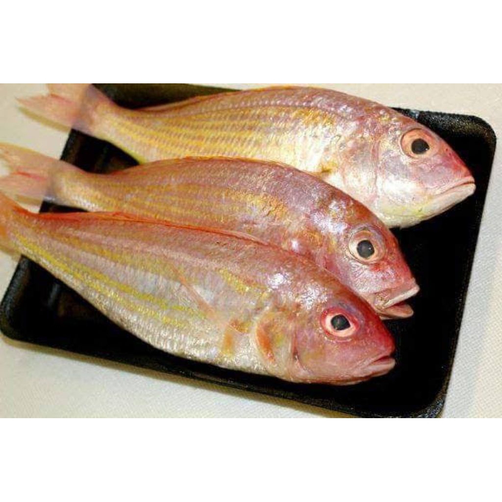 Ikan Merah Segar / Ikan Merah Biji Nangka (Ikan Segar)
