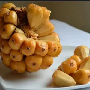 

Buah Asem Cikala Medan 100 Gram