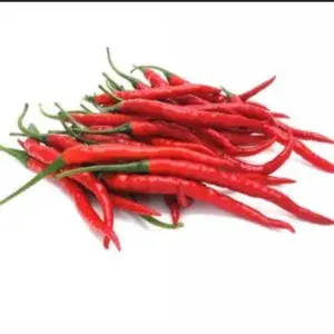 

Cabe Merah Keriting 500 gr