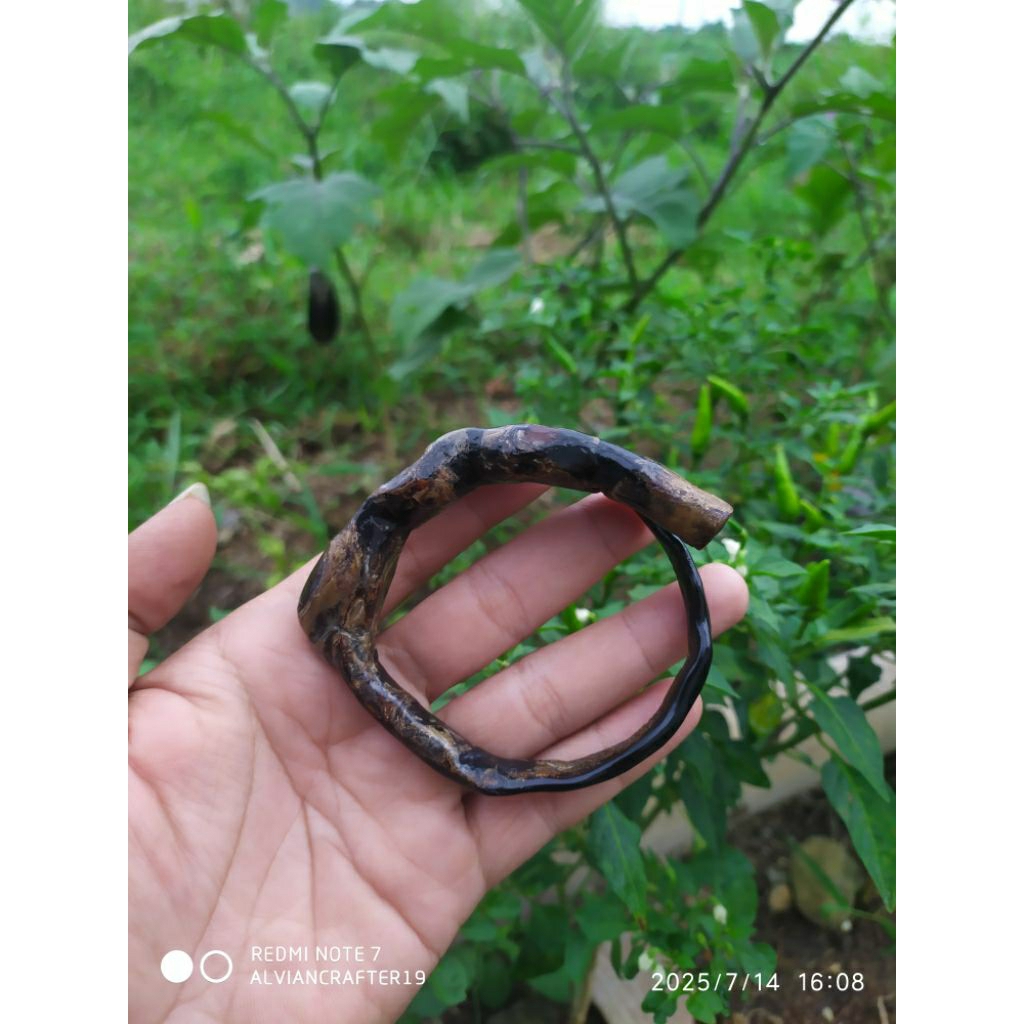 GELANG AKAR BAHAR HITAM BONGGOL TENGAH, BERBATU ALAMI
