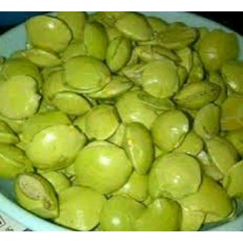 

Ready stok jengkol muda 500 gram bisa cod