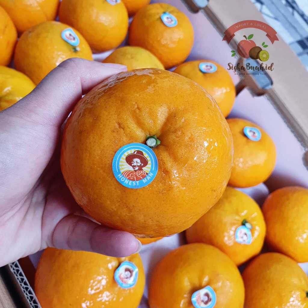 

JERUK WOKAM / JERUK WOGAN MANDARIN - FRESH IMPORT RRC