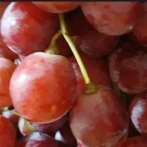 

Anggur Merah Australia 500 gr