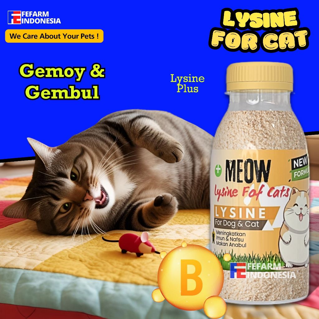 PENGGEMUK KUCING SUPLEMEN VITAMIN ANJING FEFARM