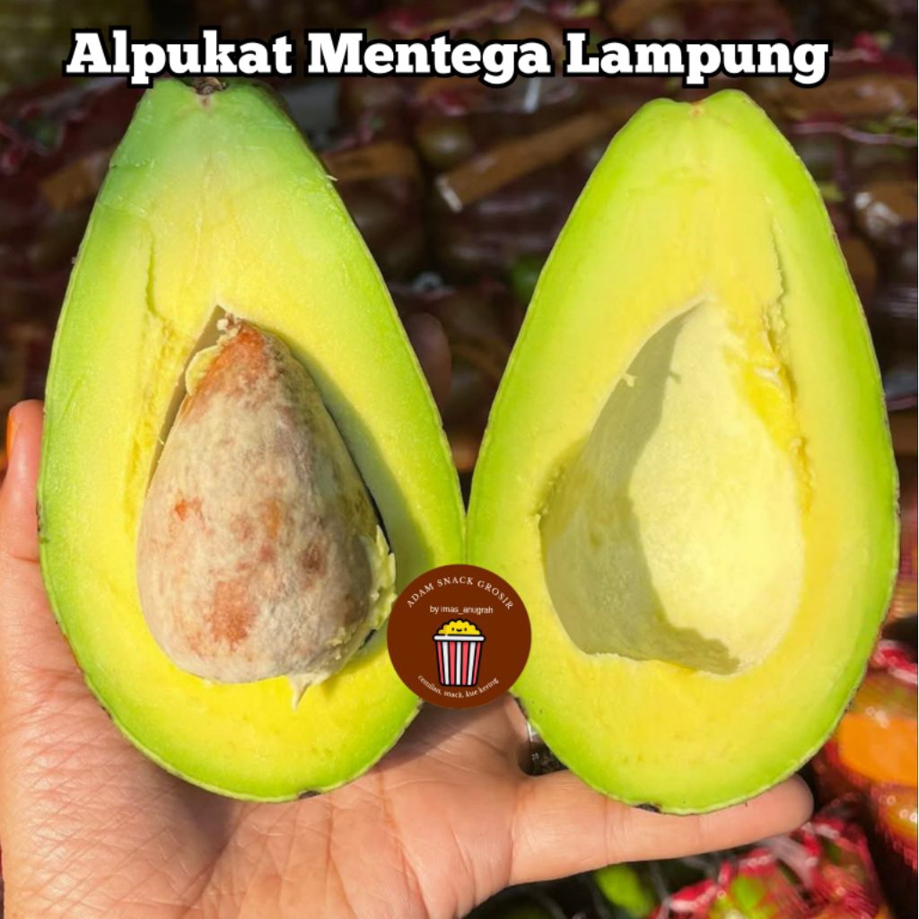 

ALPUKAT MENTEGA 1KG / ALPUKAT LAMPUNG / ALPUKAT PADANG/ ALPOKAT MURAH