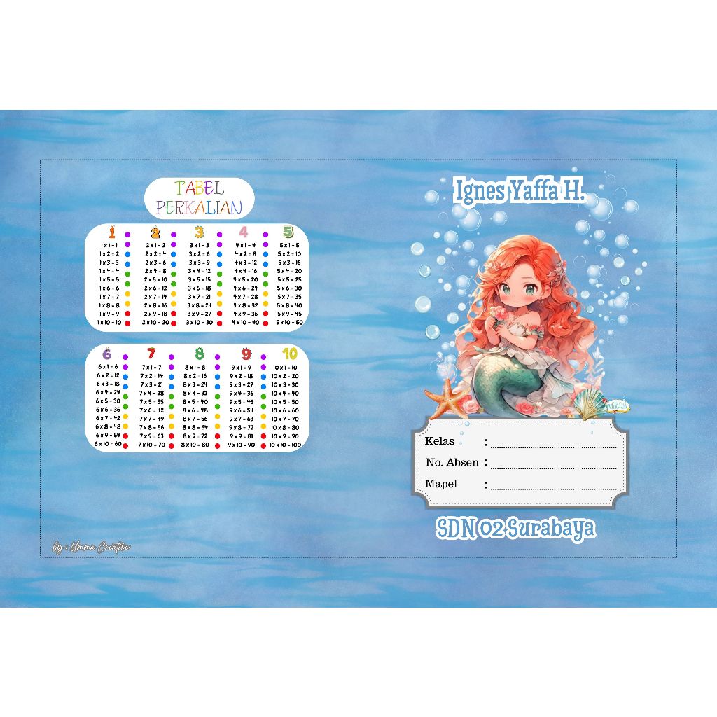 

Sampul Buku Anak Perempuan Custom - Princess Series