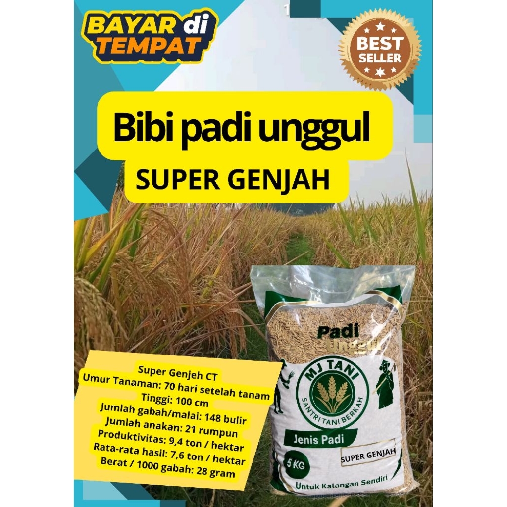 terbaru bibit padi unggul SUPER GENJAH 5KG