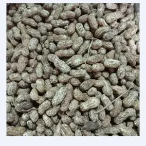 

Kacang Tanah Kulit Mentah - 500 Gram