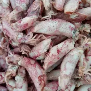 

Ikan asin Cumi Besar 100