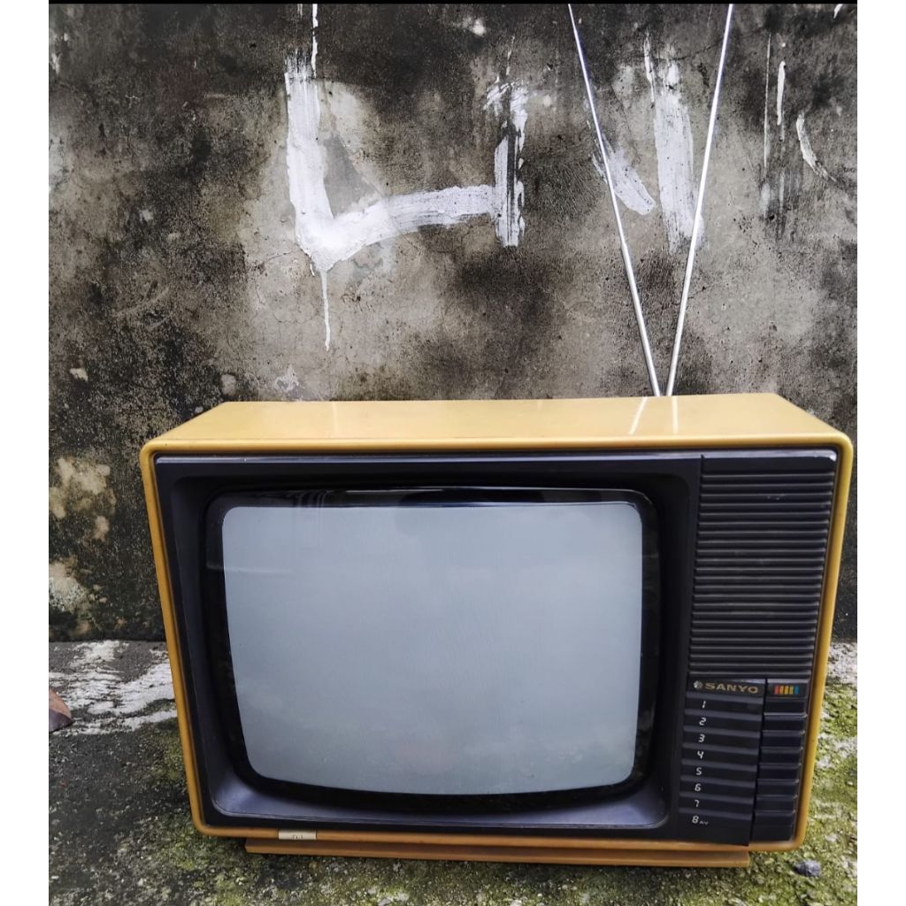 TV JADUL SANYO 14 INCH